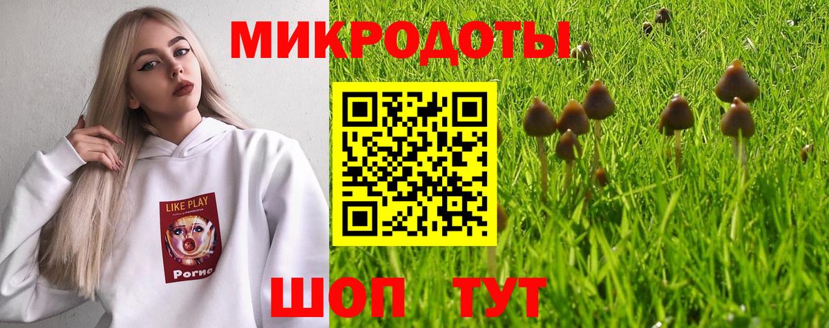 Псилоцибиновые грибы Magic Shrooms Гуково