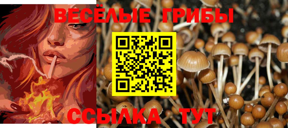 Гуково  Галлюциногенные грибы GOLDEN TEACHER  Галлюциногенные грибы Psilocybe  Вход с VPN 